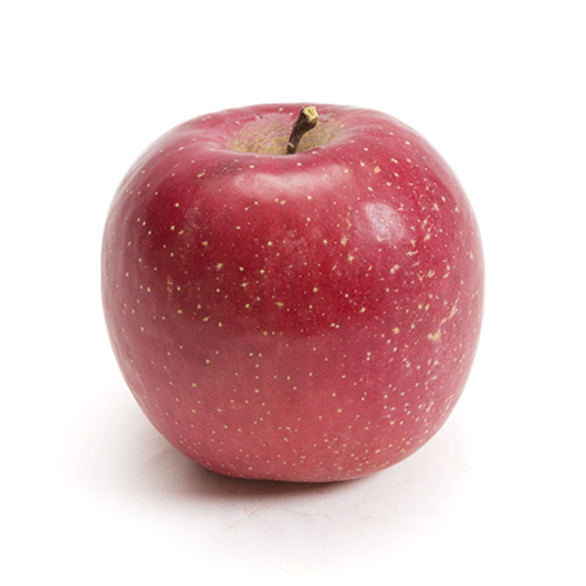 りんご 果物一覧 商品紹介 Ja全農青果センター